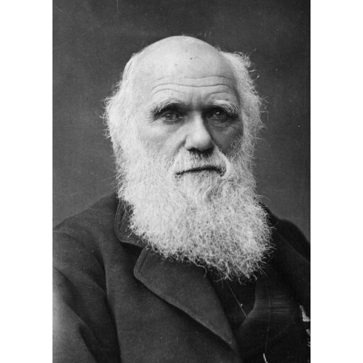 Így élt Darwin