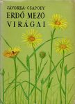 Erdő mező virágai