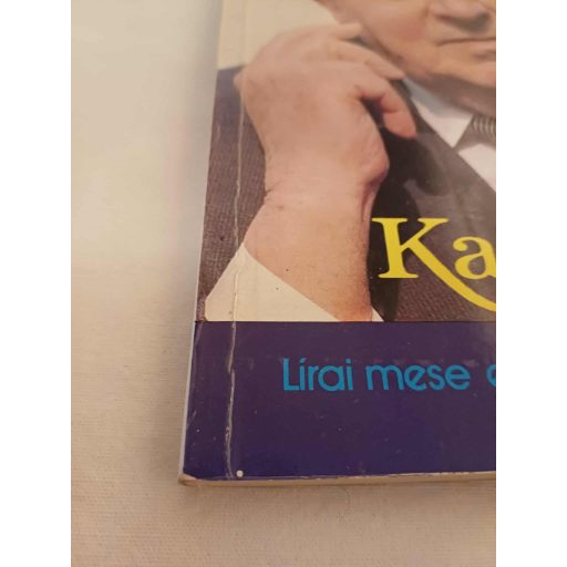 Kamillka (Lírai mese egy nagy művészről)