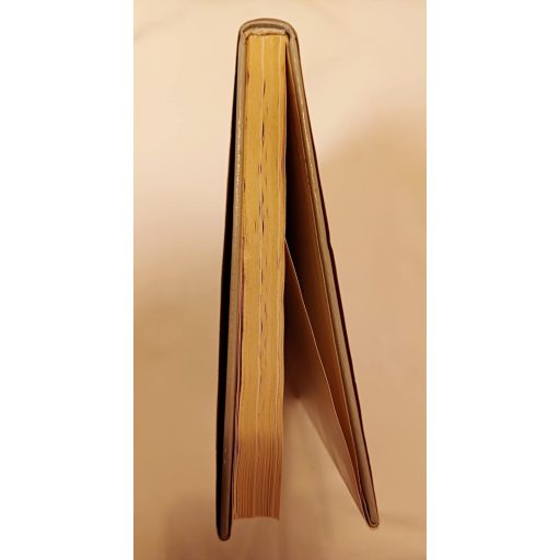 Vermeer van Delft életregénye