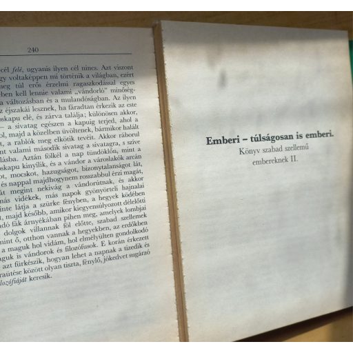 A vándor és árnyéka