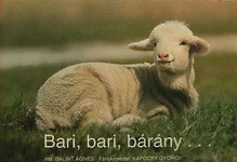 Bari, bari, bárány…