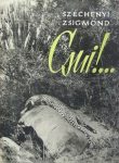 Csui!…