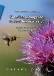 Kipp-kopp, mogyoró, tavaszt hív már a rigó