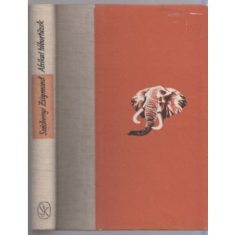 Afrikai tábortüzek