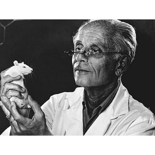 Életünk és a stress