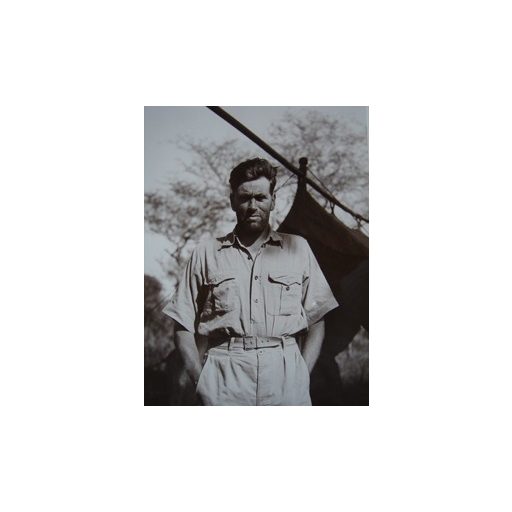 Denaturált Afrika