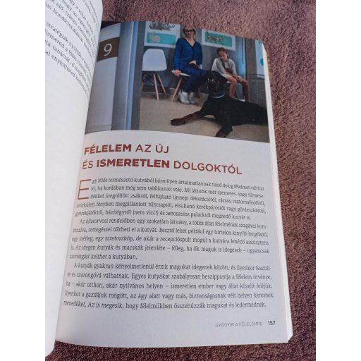 Stresszoldás kutyáknak