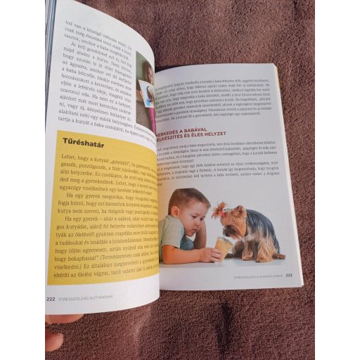 Stresszoldás kutyáknak