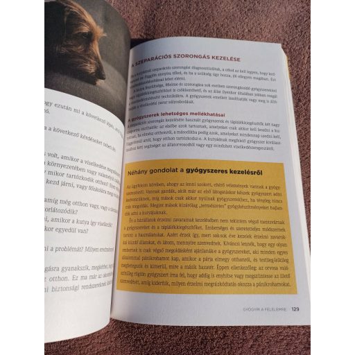 Stresszoldás kutyáknak