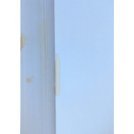 A cseh irodalom története – A kezdetektől napjainkig