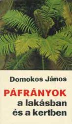 Páfrányok a lakásban és a kertben