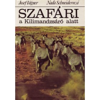 Szafári a Kilimandzsáró alatt
