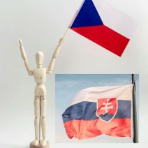 Cseh és szlovák vonatkozású könyvek